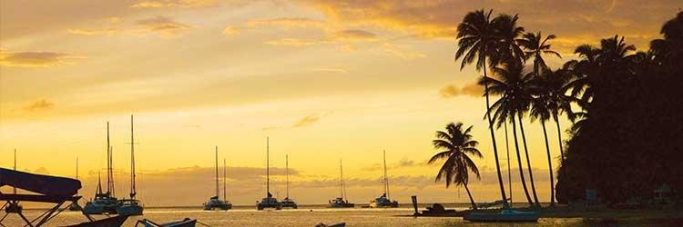 Canaries St Lucia | St Lucia Canaries