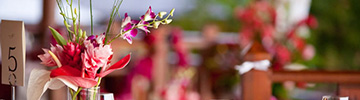botanical-garden-wedding